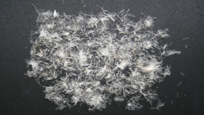 羽毛布団リフレッシュ｜除塵