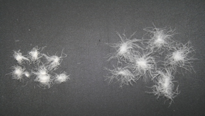 羽毛布団リフレッシュ｜洗浄前後のダウン